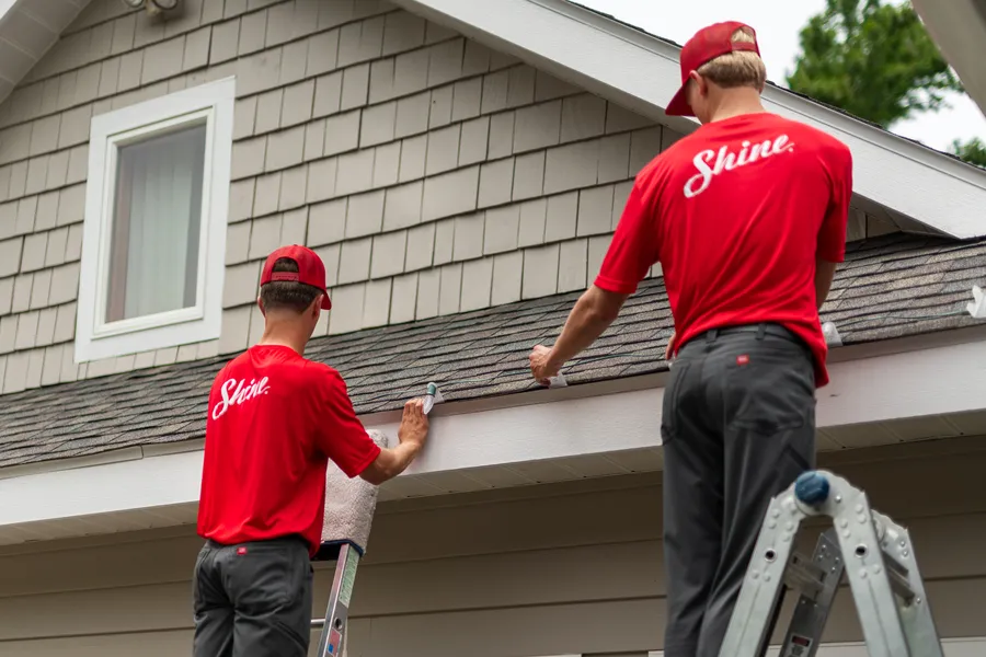 Gutter Cleaning